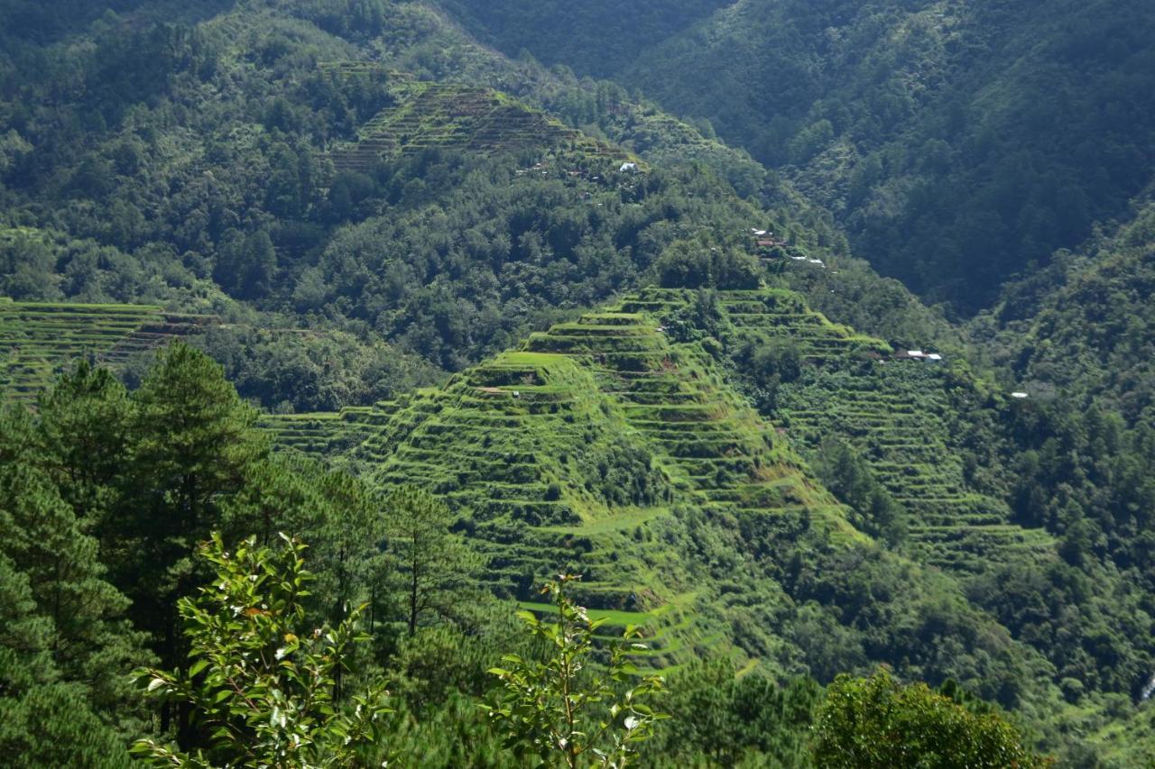 Hiwang Native House Inn & Viewdeck Banaue Dış mekan fotoğraf